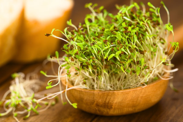 sprouts-ready-for-eating