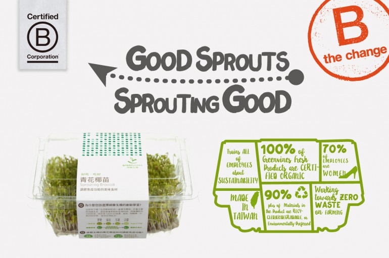 Bcorp-feature-image