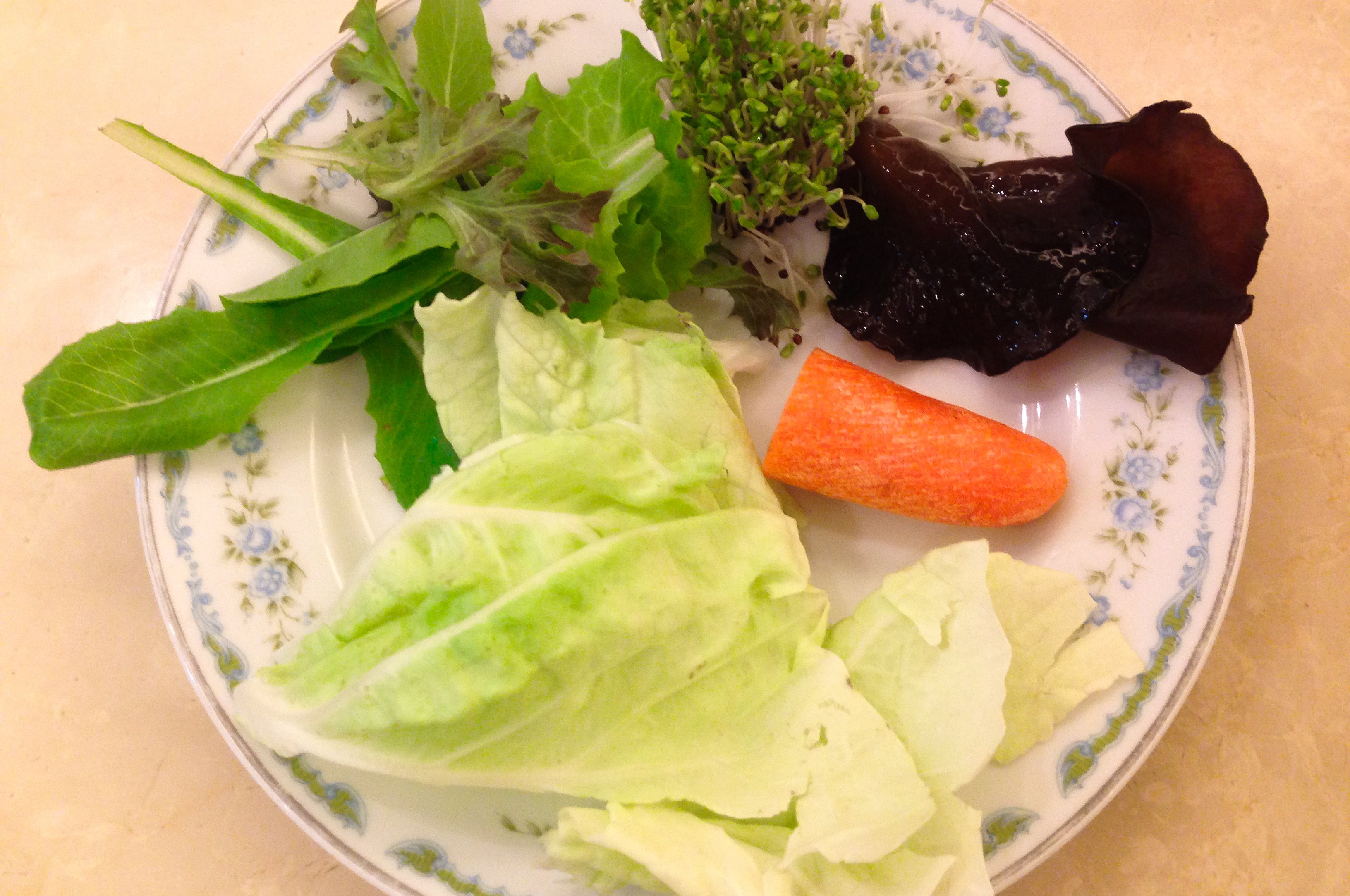 副食品食材