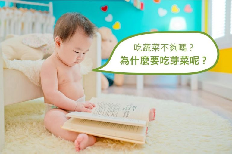 寶寶副食品2