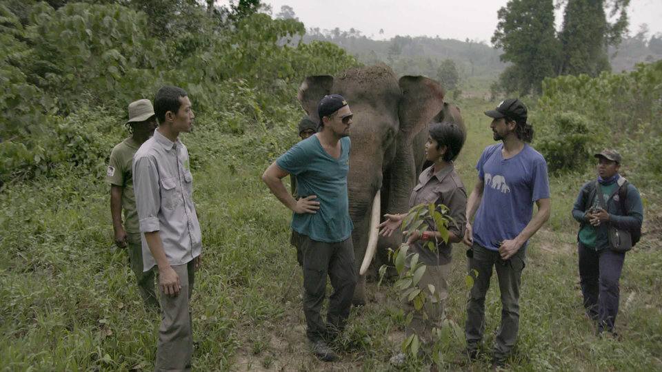 INDONESIA- Leonardo with Farwiza Farhan and Rudi Putra in the Leuser Ecosystem.
For two years, Leonardo DiCaprio has criss-crossed the planet in his role as UN messenger of Peace on Climate Change. This film, executive produced by Brett Ratner and Martin Scorsese, follows that journey to find both the crisis points and the solutions to this existential threat to human species.
© 2016 RatPac Documentary Films, LLC and Greenhour Corporation, Inc.
All rights reserved.