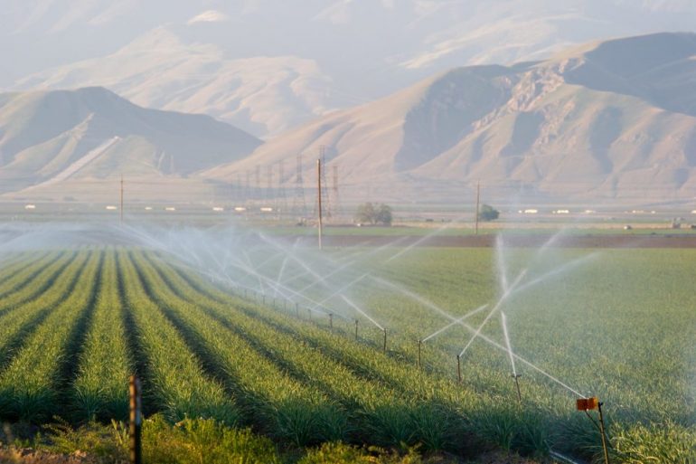 rsz_1jrc_crops_fields-6220-1540x1025