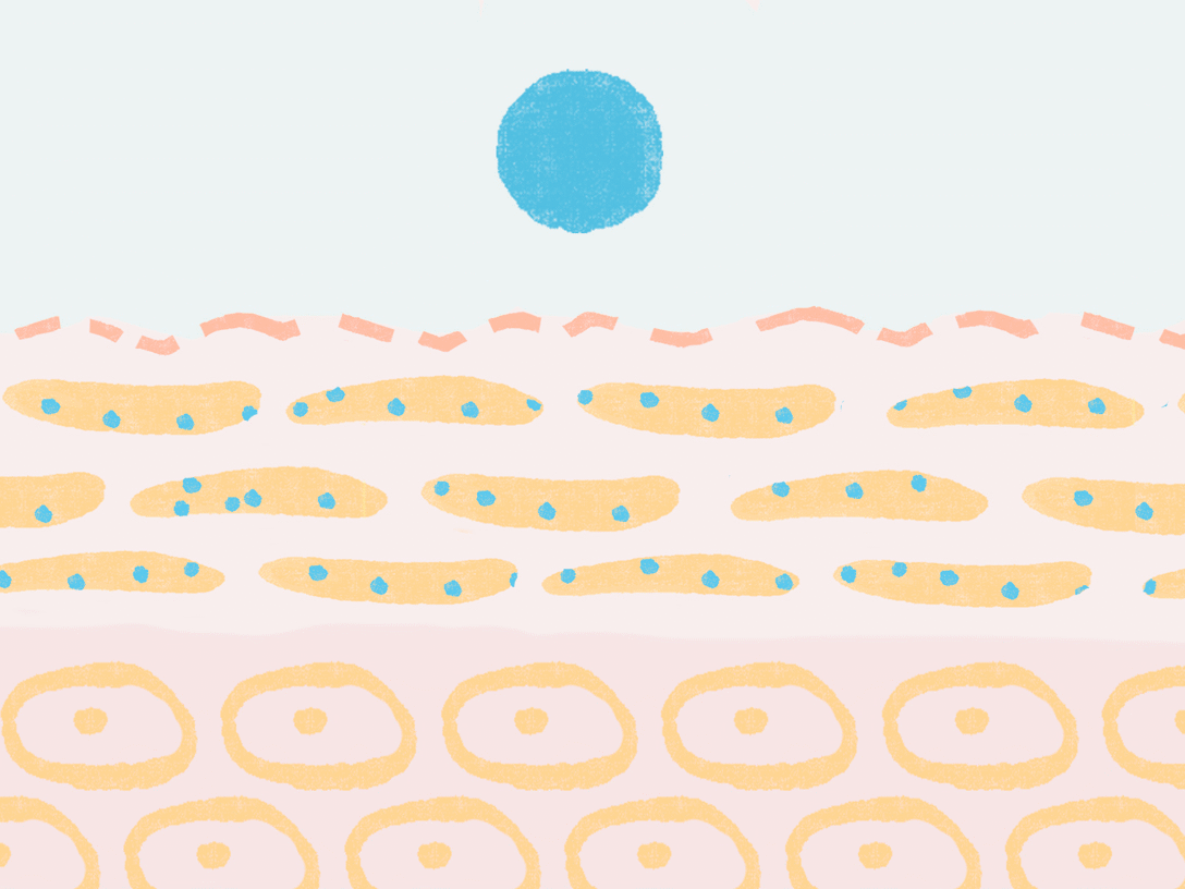 s3-left-p01