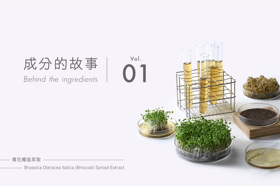 bti-blog-01
